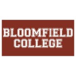 Bumper Sticker Magnet | Rectangle | 3 3/4" x 7 1/2" with Logo