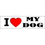 Bumper Sticker (3"x11.5") with Logo