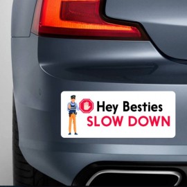 Bumper Stickers - 6"x6" with Logo