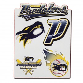Custom Full Color Team Decal Sheets with Logo  Custom Full Color Team Decal Sheets with Logo