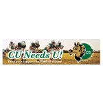 Promotional Bumper Sticker Magnet | Rectangle | 3" x 11 1/2" | Full Color