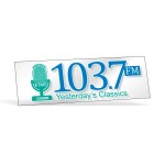 Clear Polyester Rectangle Bumper Sticker (3"x9") with Logo
