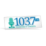 Clear Polyester Rectangle Bumper Sticker (3"x9") with Logo