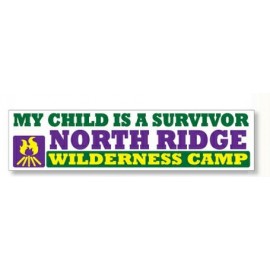 Custom Vinyl Bumper Sticker (15"x 3 3/4")  Custom Vinyl Bumper Sticker (15"x 3 3/4")