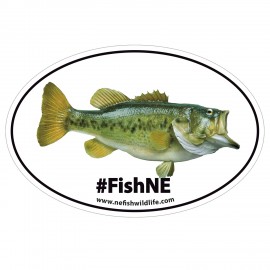 HD Resolution Bumper Sticker | Oval | 4" x 6" | White Vinyl with Logo