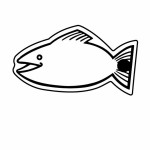 Fish 5 Key Tag (Spot Color) with Logo