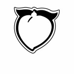 Logo Branded Peach Key Tag - Spot Color