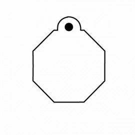 Octagon w/Tab Key Tag - Spot Color with Logo