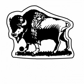 Personalized Buffalo w/Detail Key Tag (Spot Color)