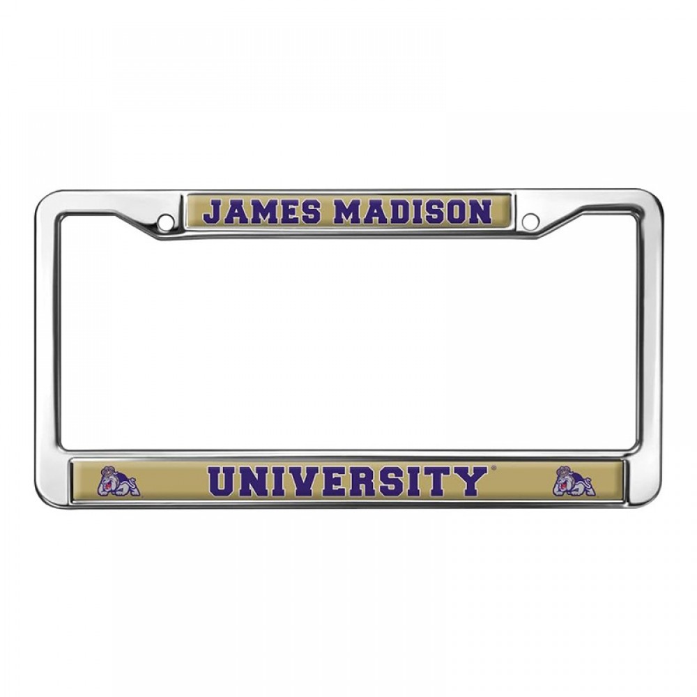 Stainless Steel License Plate Frame with Logo