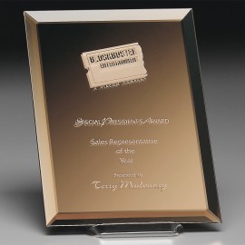 Imagery Bronze Award 8" x 10" with Logo