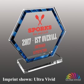 Small Hexagon Shaped Ultra Vivid Acrylic Award with Logo