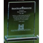 Custom Crystal Rectangle Award (8"x10")