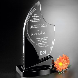 Custom Panache Award 11"  Custom Panache Award 11"