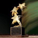 Constellation Award - 24K Gold/Marble 10" with Logo
