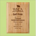 Promotional Bamboo Plaque 9" x 12" Direct Laser Engraving