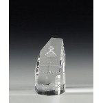 5" OptiMaxx Octagonal Tower Award with Logo