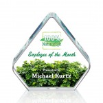 Personalized Gresham VividPrint Award