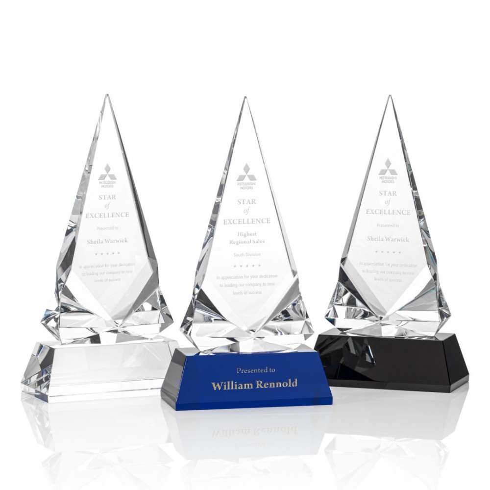 Dulverton Award with Logo