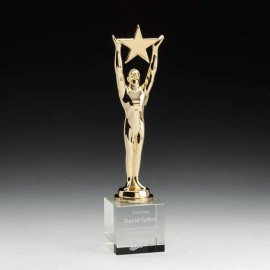 Star Achievement on Optical - Gold 11" with Logo  Star Achievement on Optical - Gold 11" with Logo