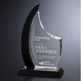Oxford Award 11-1/4" with Logo  Oxford Award 11-1/4" with Logo
