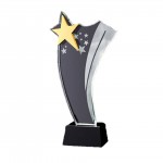 Custom Crystal Award With Wooden Base with Logo