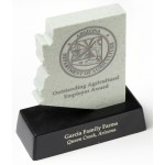 Promotional State Salute Desk Award