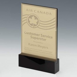 Declaration Award - Brass/Black 10" with Logo