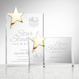 Logo Branded Denham Star Award - Gold