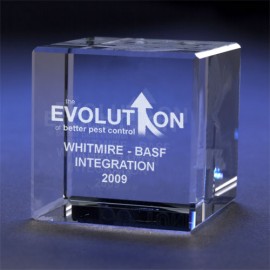 Custom Crystal Cube 3 1/8" - Grande