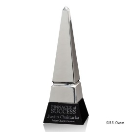 Apex Award - Silver/Black 11" with Logo