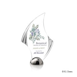 VividPrint Award - Flourish Hemisphere/Silver 8" with Logo