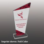Customized Large Angle Top Shaped Full Color Acrylic Award