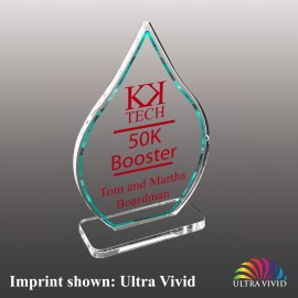 Small Droplet Shaped Ultra Vivid Acrylic Award with Logo