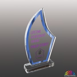 Logo Branded Small Blade Shaped Ultra Vivid Acrylic Award