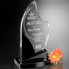 Logo Branded Panache Award 13"