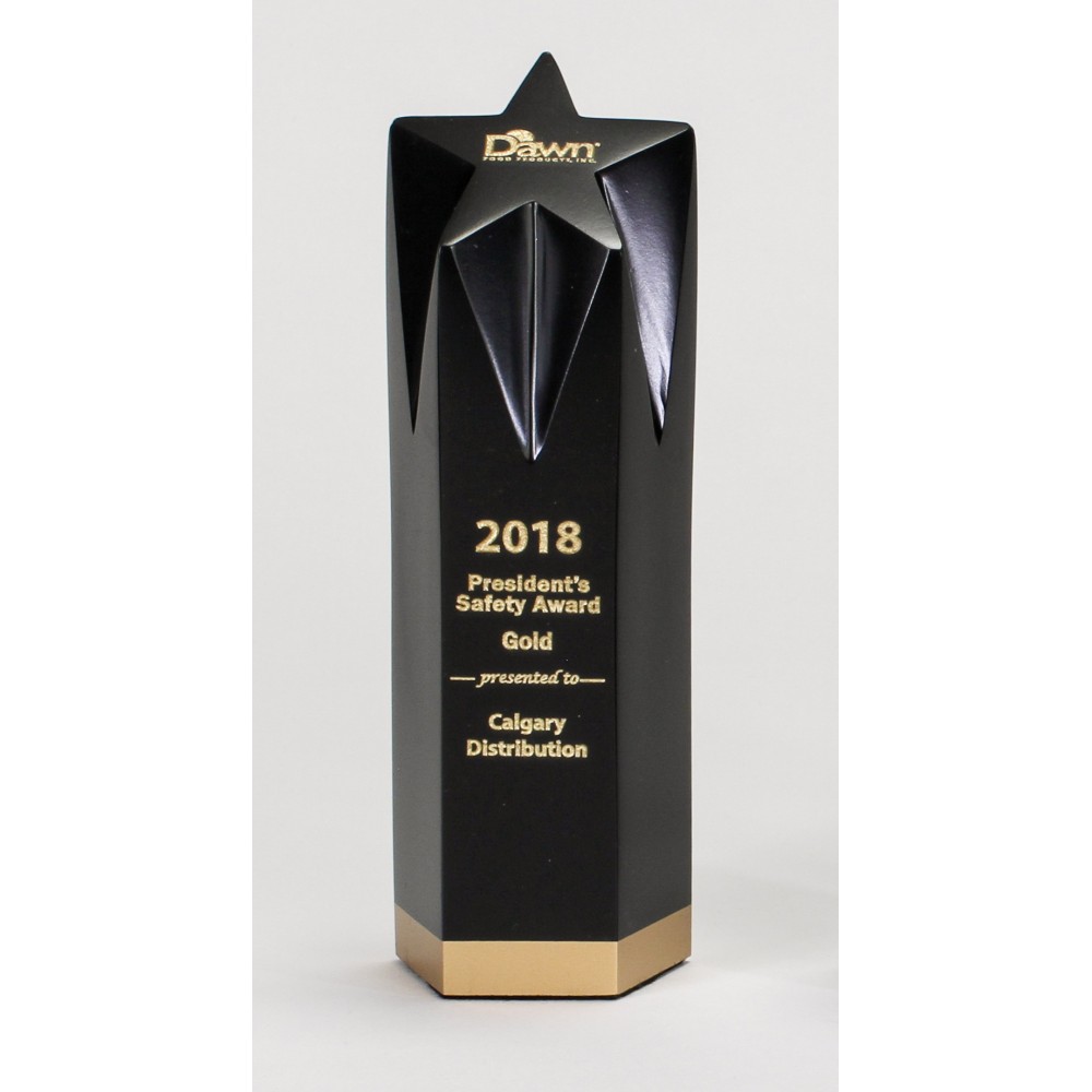 8" Large Star Award with Logo
