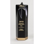 8" Large Star Award with Logo