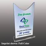 Logo Branded Medium Ribbon Tail Shaped Full Color Acrylic Award