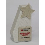 Starfire Award with Logo