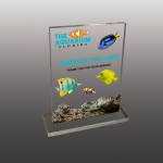 Promotional Small Custom Ultra Vivid Color Acrylic Award