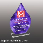 Custom Medium Droplet Shaped Full Color Acrylic Award
