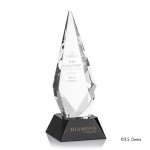 Promotional Vector Award - Optical/Black 12"