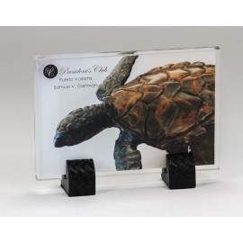 Custom Clear Alliance Award