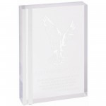 6" x 8" Rectangle Acrylic with Silver Edge Logo Imprinted