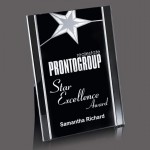 Pickering Award - 6"x8" Silver with Logo