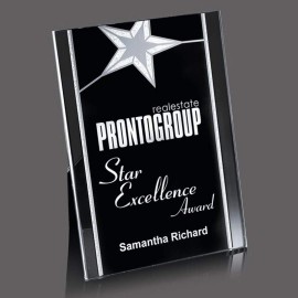 Pickering Award - 6"x8" Silver with Logo  Pickering Award - 6"x8" Silver with Logo