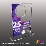 Medium Hollowed Rectangle Shaped Ultra Vivid Acrylic Award with Logo