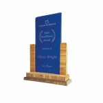 Promotional Bamboo Upright Recycled Glass Rectangle Award (7"x11")