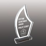 Promotional Small Blade Shaped Etched Acrylic Award